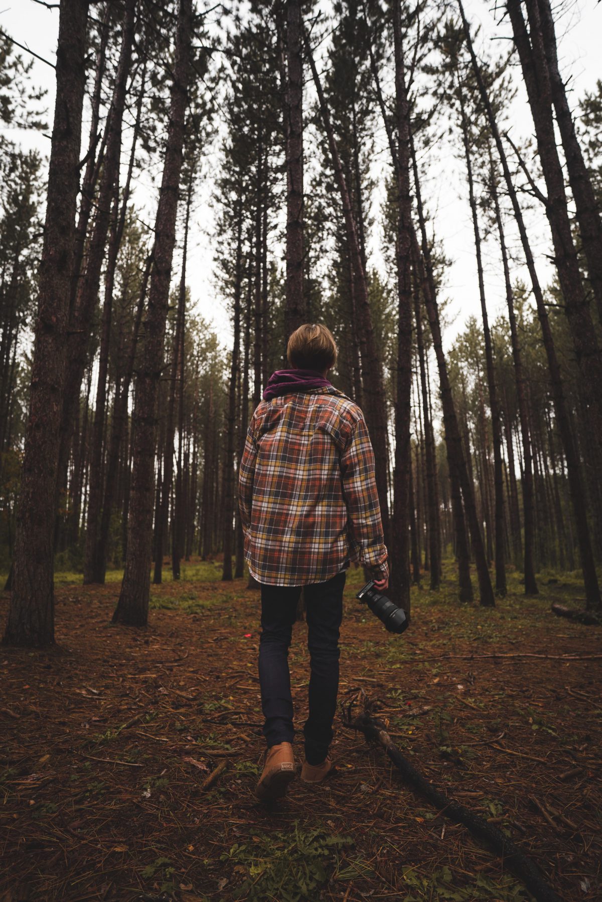 Mann mit kariertem Hemd in einem Wald